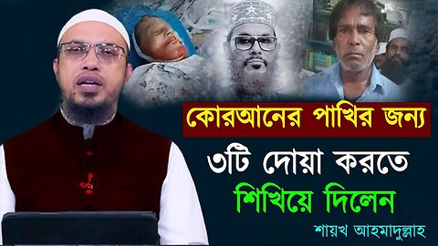 কোরআনের পাখির জন্য ৩টি দোয়া করতে শিখিয়ে দিলেন -- শায়খ আহমাদুল্লাহ