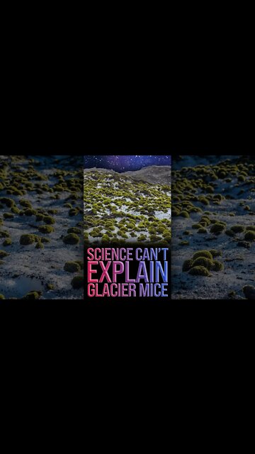 Science Can't Explain Glacier Mice 🤯 #shorts