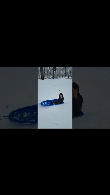 Amish Girl Pulling Brother