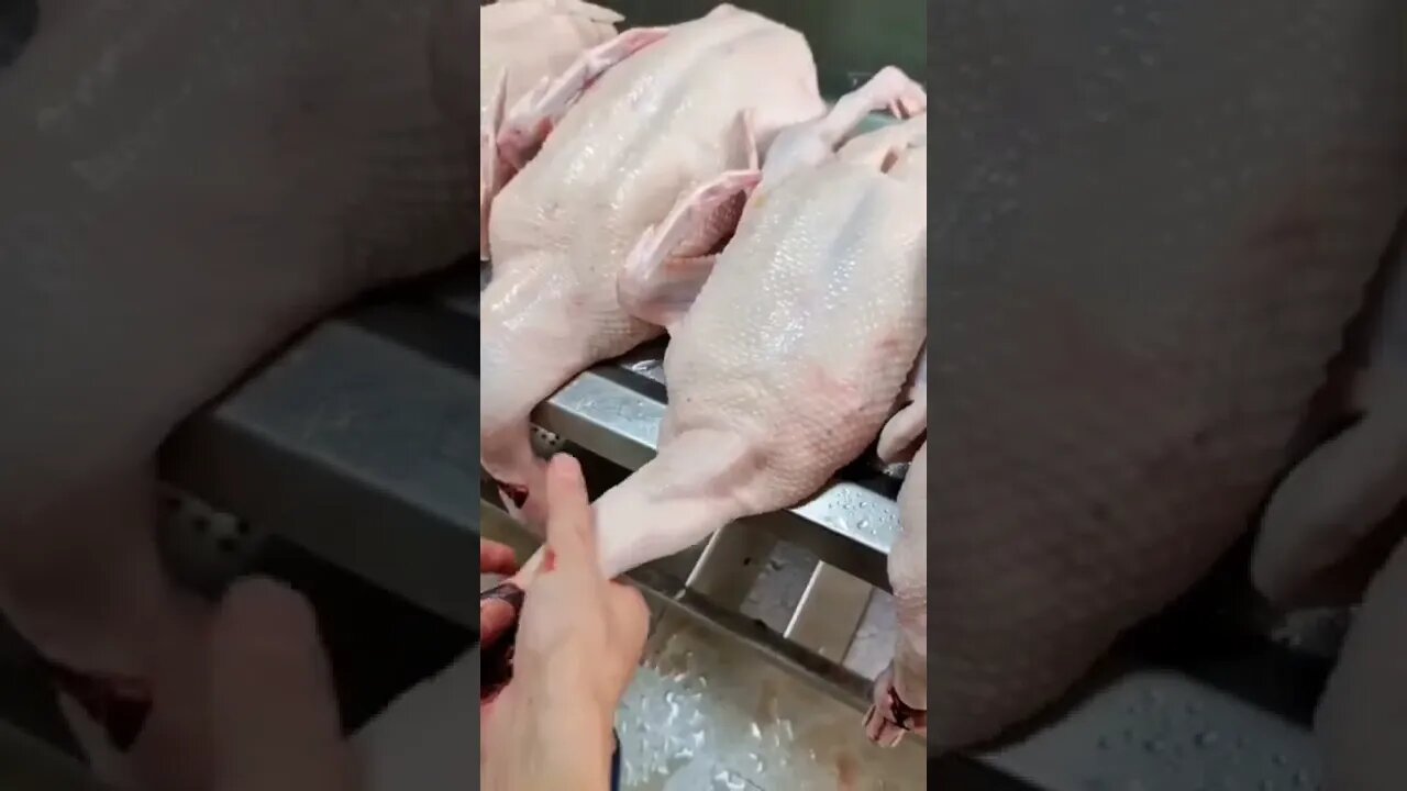 PAGUE 2 LEVE 1 😂😂😂