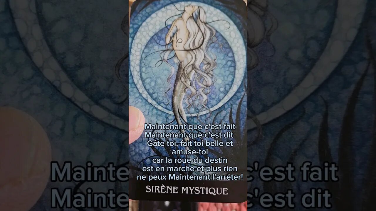 🔮 Message du Portail de la Destinée ❤️ #guidancesentimentale #tarot #amour