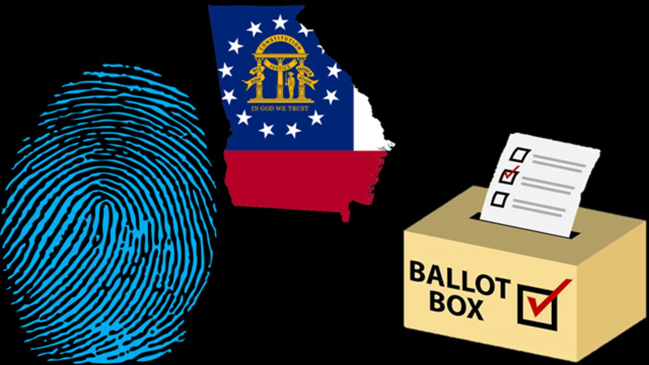 Voter Integrity in Georgia