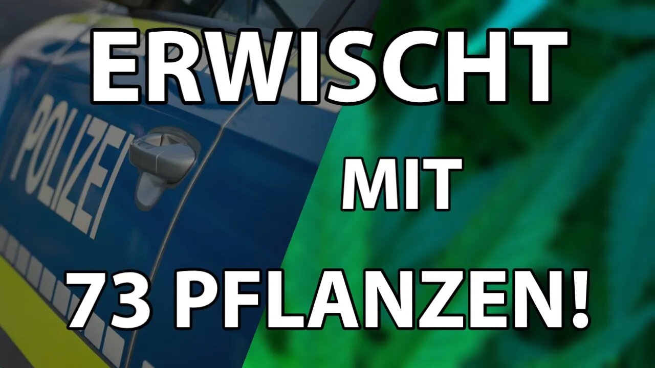 HAUSDURCHSUCHUNG IN BERLIN - ERWISCHT MIT 73 PFLANZEN 🤯😱