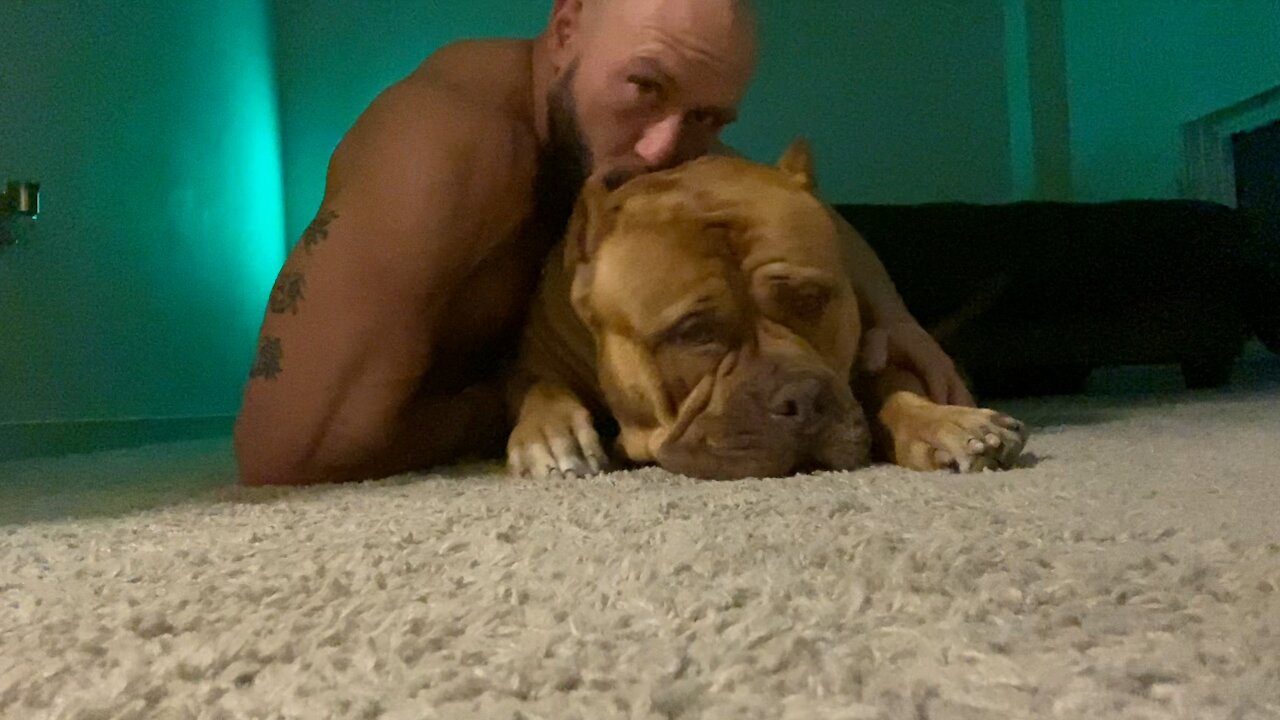 GIANT Pitt bull gets all the cuddles!