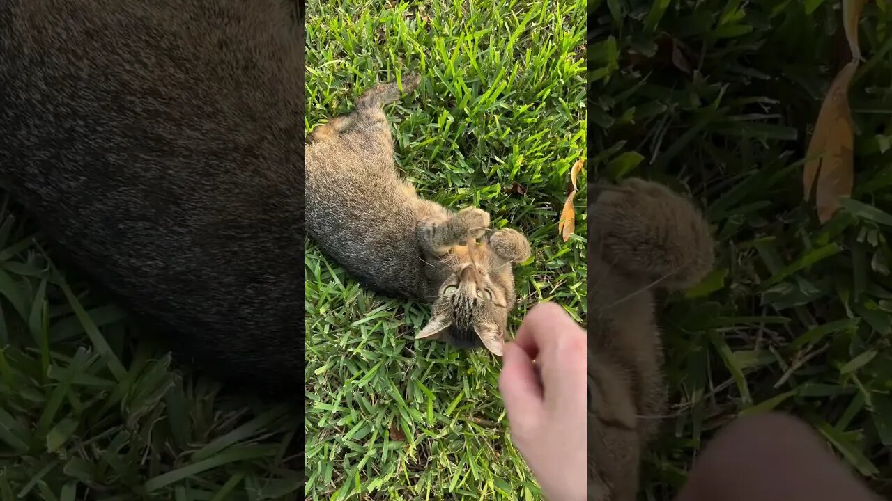 lucky