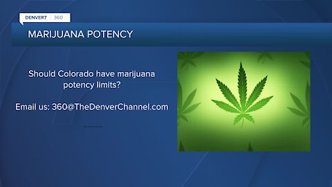 360: Different perspectives on marijuana potency