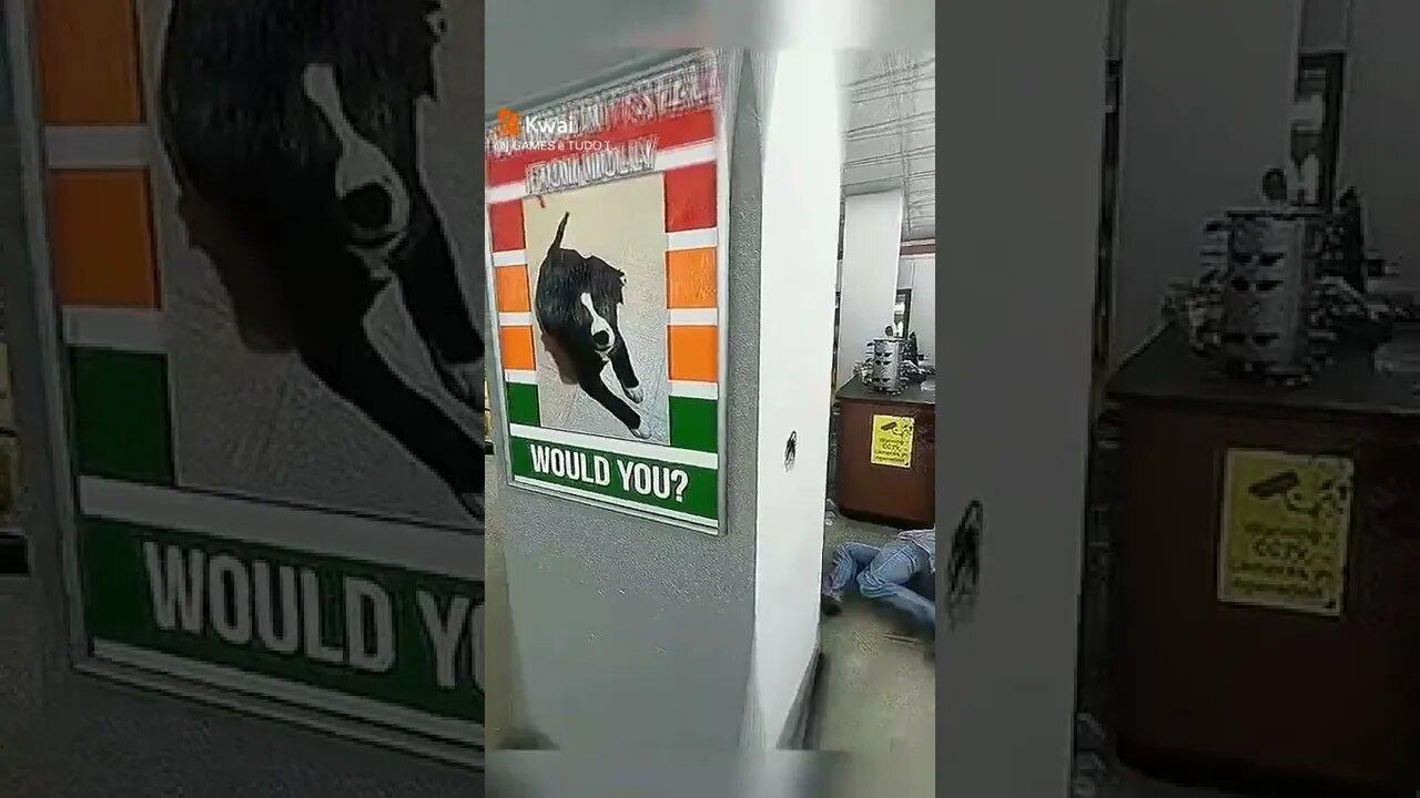 videos shorts do kawai#shorts