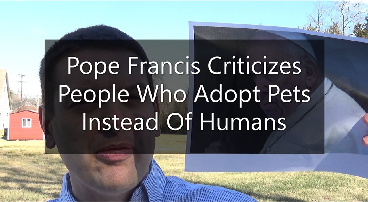 Pope Francis Criticizes People Who Adopt Pets Instead Of Humans