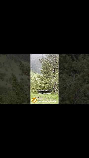 Keeping your distance private #alcoholfree #wellness #shorts_ #shortsyt