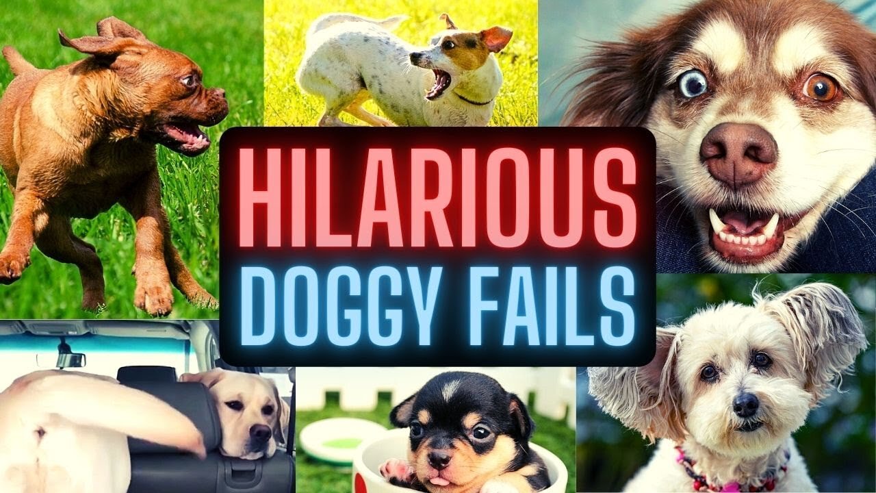 🤣🐶💖 Hilarious Dog Fails Videos Compilation 2021 | Try Not to Laugh | Cute and Funny Animals