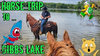 Horse Trip to ... Gibbs Lake