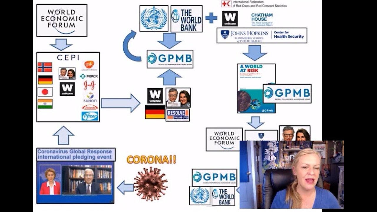 Amazing Polly Connecting Dots On The Global Health Mafia - May 2020