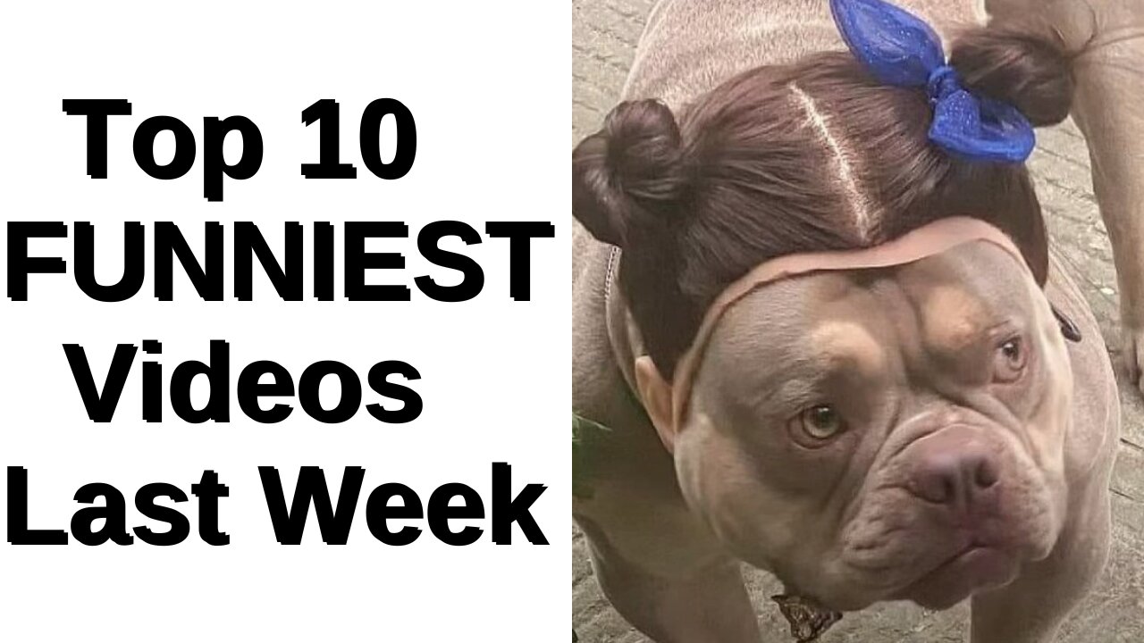 Clips from the top 10 FUNNIEST videos last week (Nov. 12th to Nov. 18th)