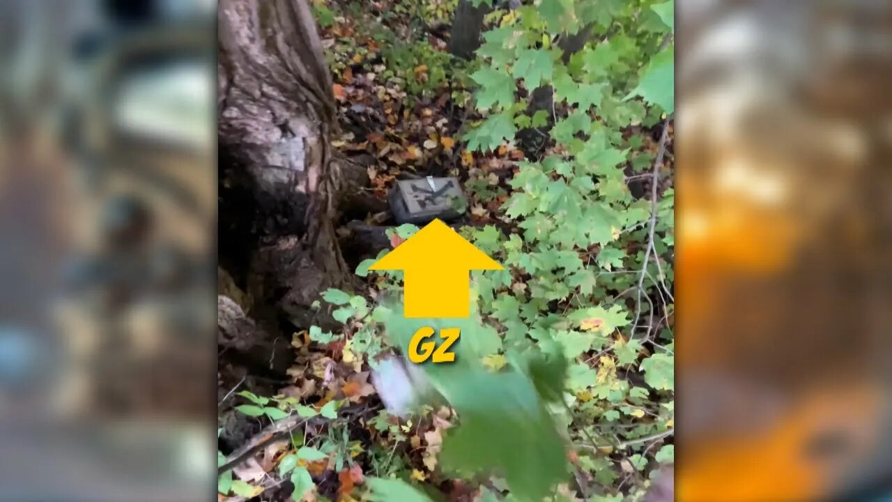 As they always say, X MARKS THE SPOT!