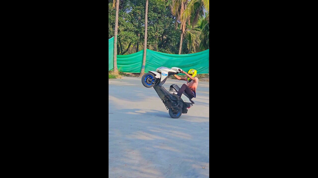 dio wheelie with saftey
