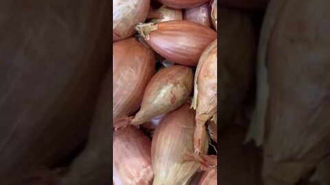 #shallots #healthy #healtyfood #supportmychannel #goodforyourhealth #vegetables 🙏🙏🙏