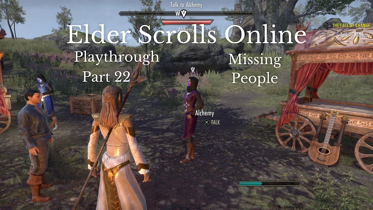 The Elder Scrolls Online Part 22 : Missing People