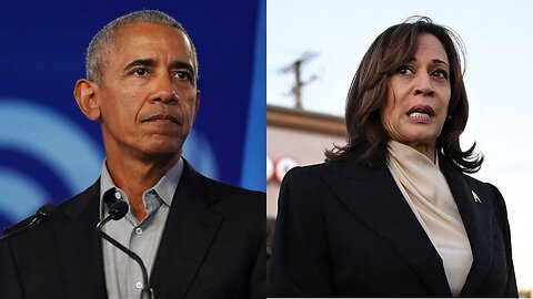 Former Obama Fundraiser Shreds Kamala Harris - 'Patronizing'