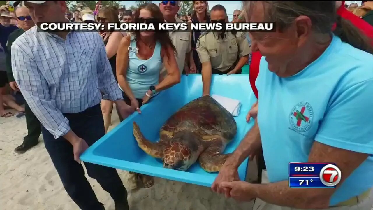 WSVN 02 09 2019 09 23 16