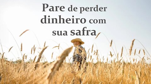 Pare de perder dinheiro com sua safra!