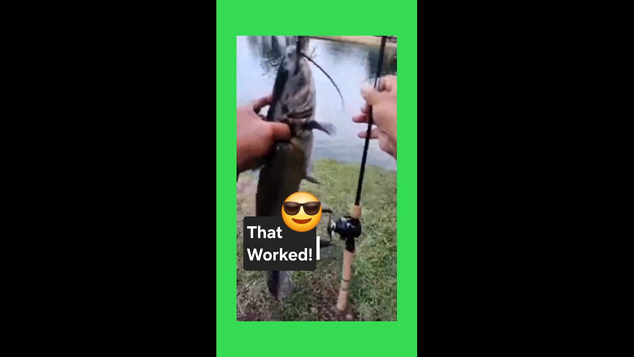 When Do You Know Your New Fishing Rod Is a Good One? 🤔 #fishing #mojo #goodvibes