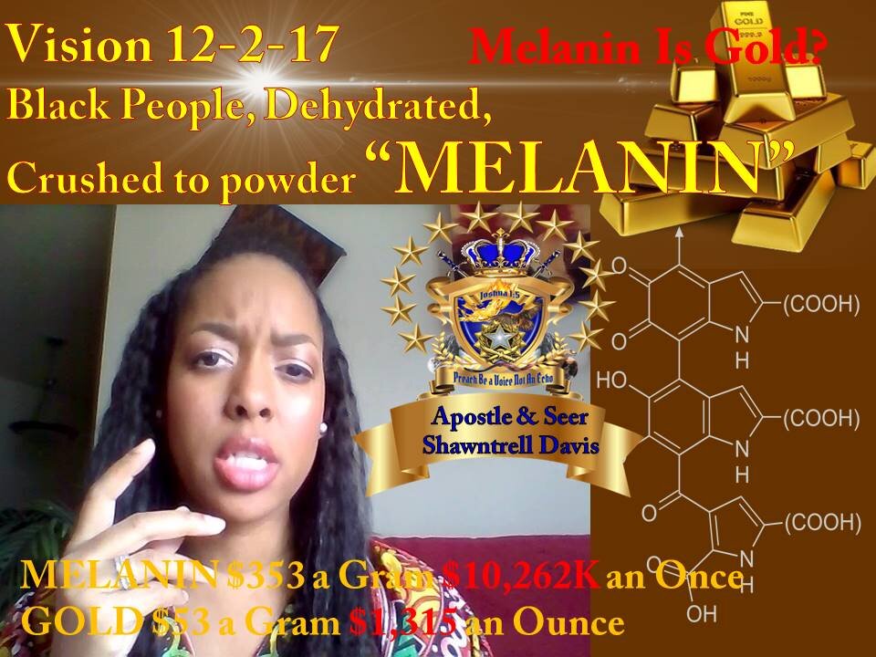 Revelation Vision: 12-2-17 MELANIN Black & Nigerians, Dehydrated, Ground to Powder TESTING