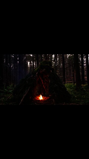 Survival Bushcraft Wikiup Shelter. Building a Primitive Shelter with simple Technology. Camping