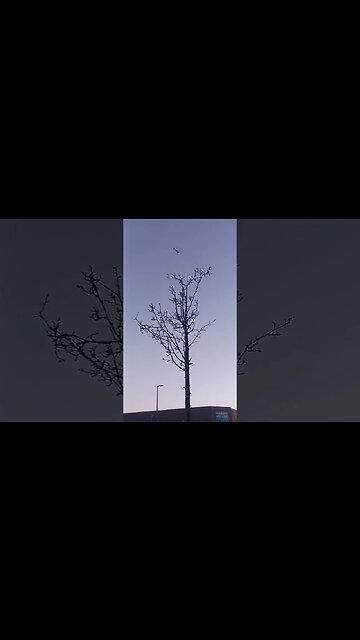 A helicopter, guys. Lol#travel#transportation#shorts##makegoviral