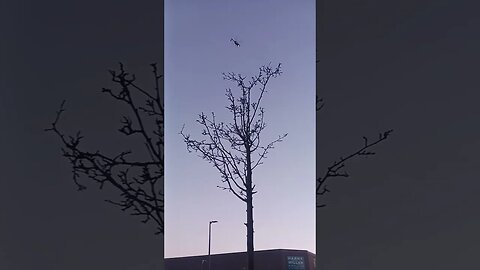 A helicopter, guys. Lol#travel#transportation#shorts##makegoviral