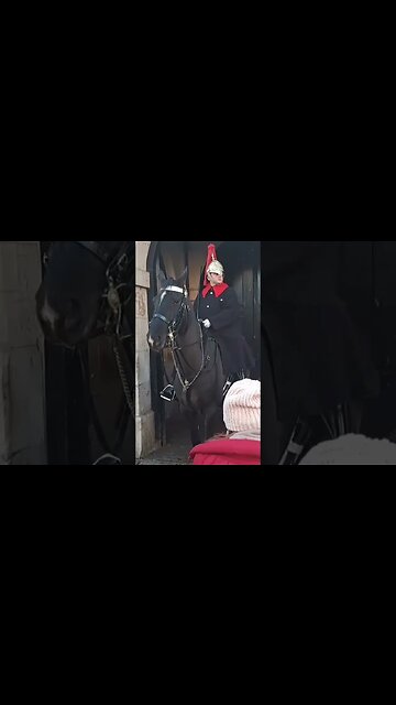 you can here the guard shouts mulitabl times #horseguardsparade