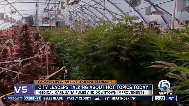 West Palm Beach Commission scheduled to vote on medical marijuana dispensaries