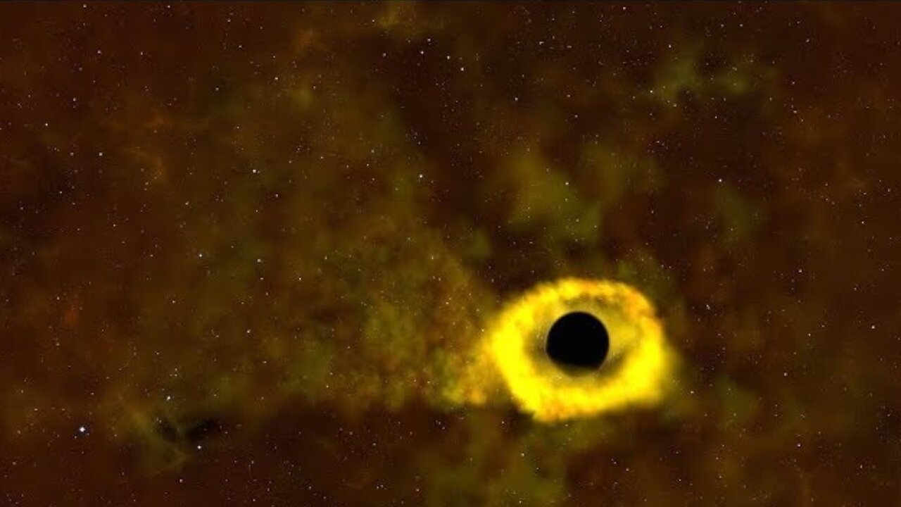 TESS Catches its First Star-destroying Black Hole