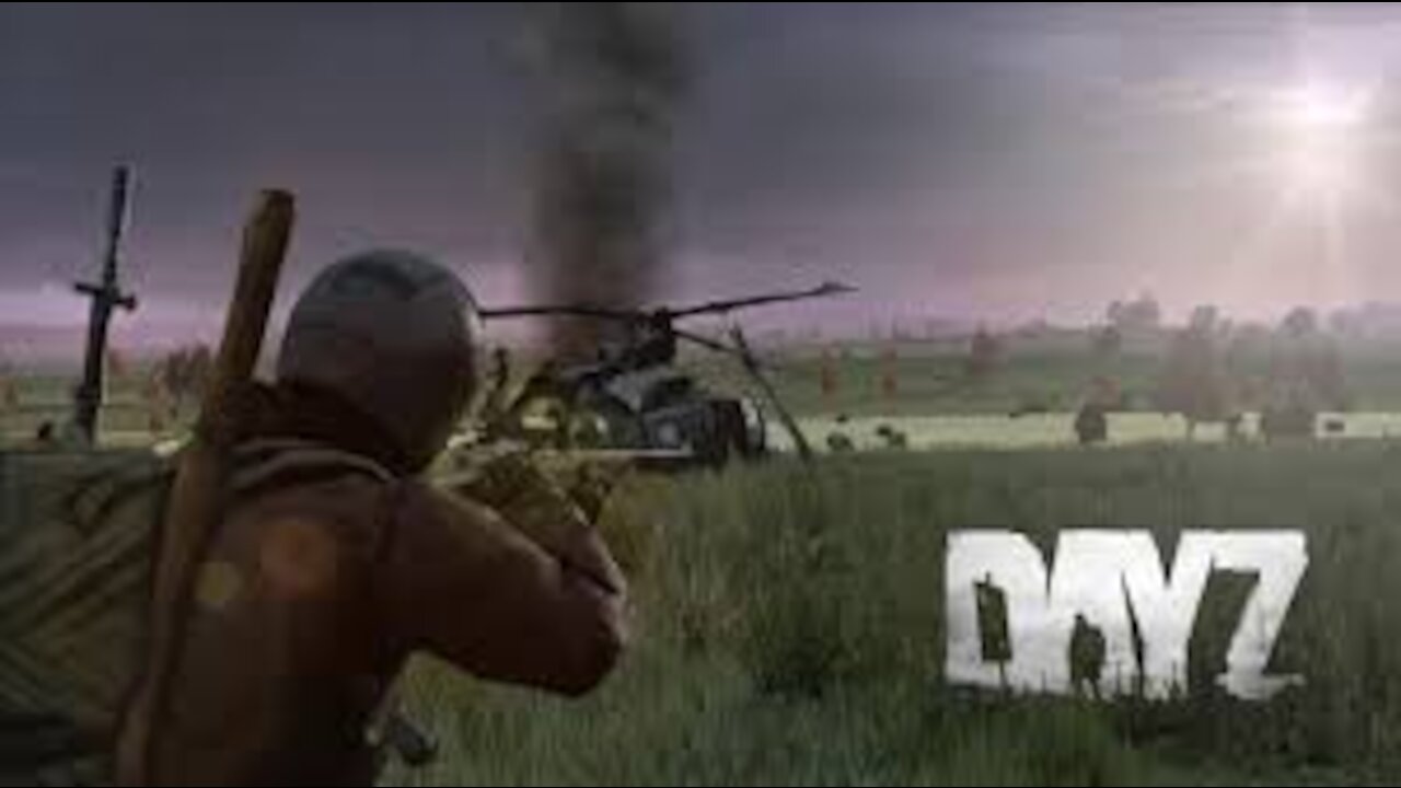 DayZ Gameplay