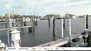 Over 180 sailboats race in downtown St. Pete