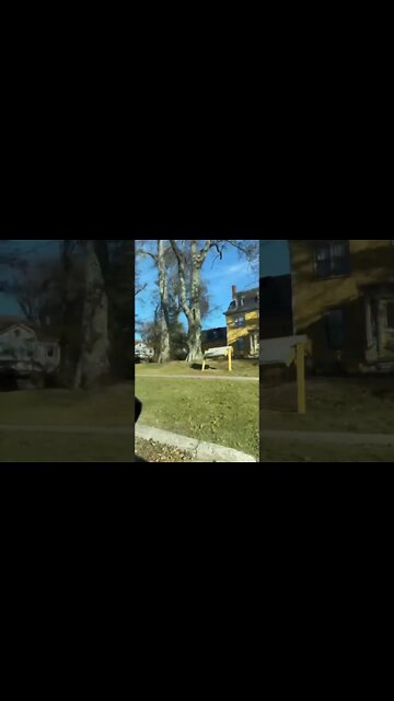 Beaconsfield Historic House post Hurricane