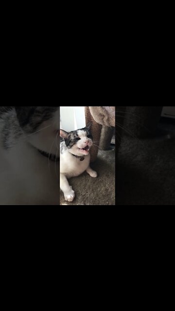 Most Amazing and trending video||relaxing your mind||trendig videos|| #shorts #trending #viral #live