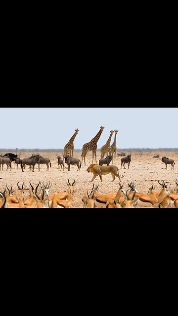 5 Amazing Facts About Nature!