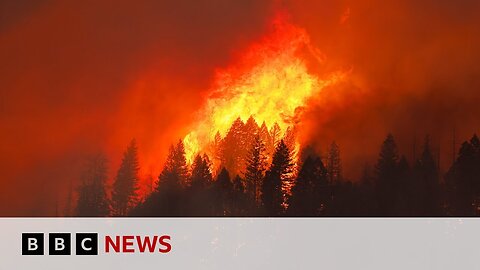 Man in court accused of starting historic California wildfire | BBC News | NE