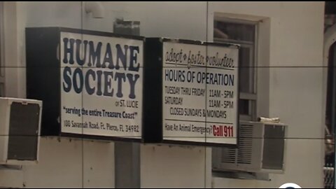 Humane Society of St. Lucie County vice chair opens up about criminal investigation, negotiations, shelter struggles