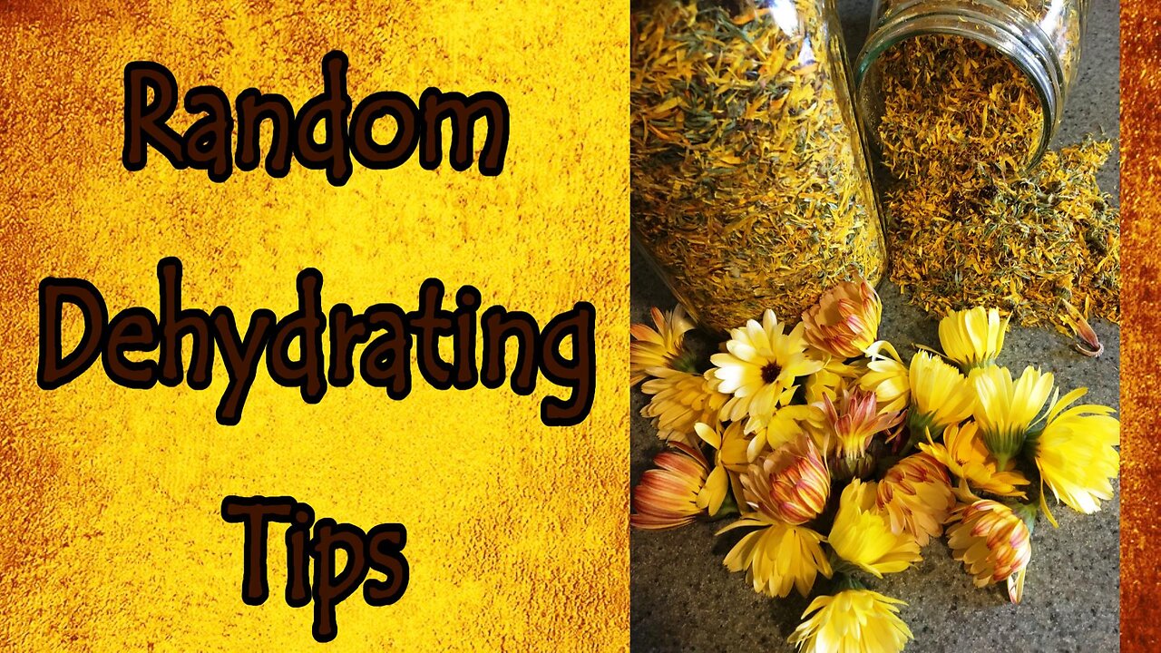 Random Dehydrating Tips