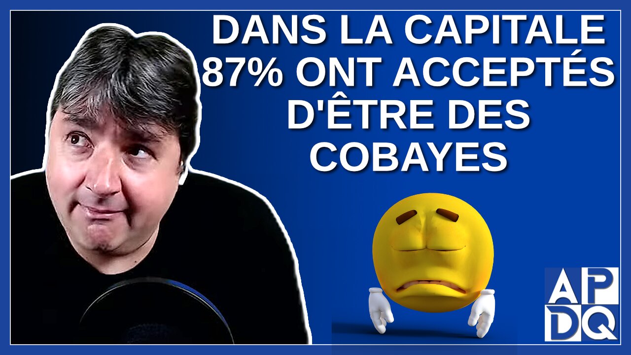 Dans la capital 87% de la population a accepté d'être des cobayes.