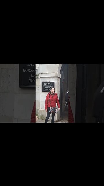 Horse scares tourist #thekingsguard