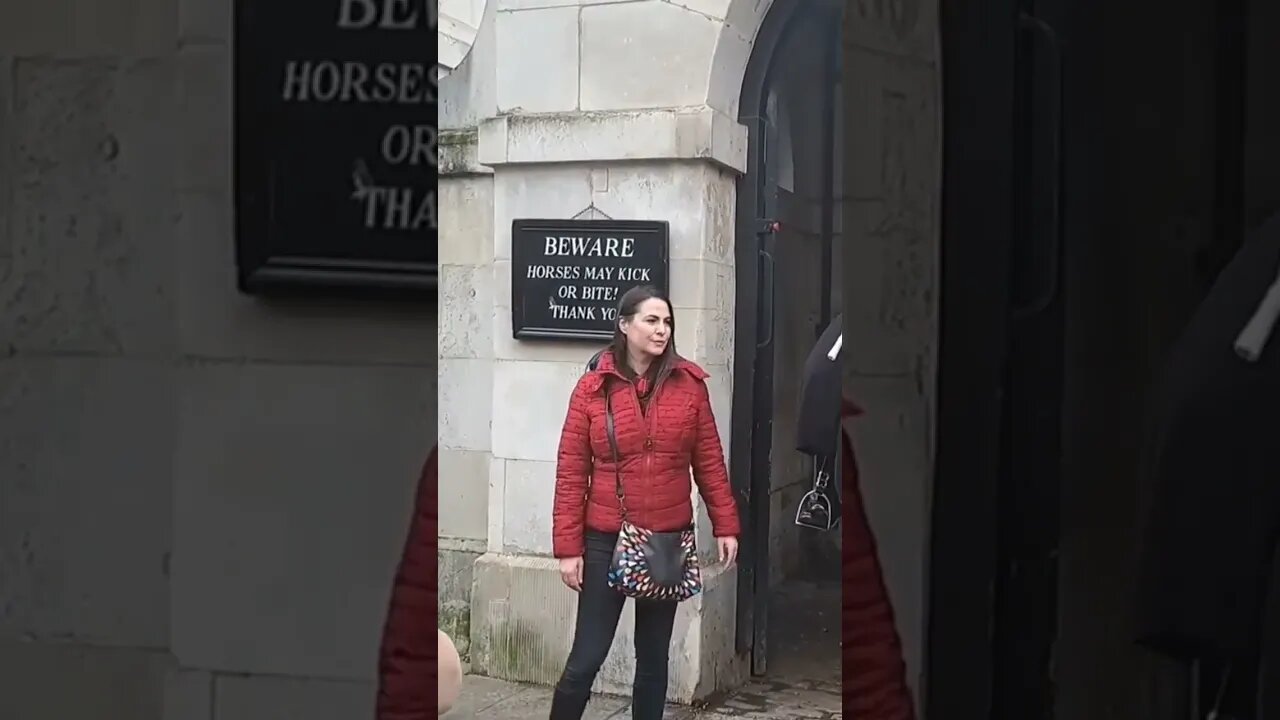 Horse scares tourist #thekingsguard