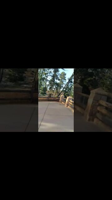 Black Birch Canyon, Bryce National Park 10.27.2022 -!-