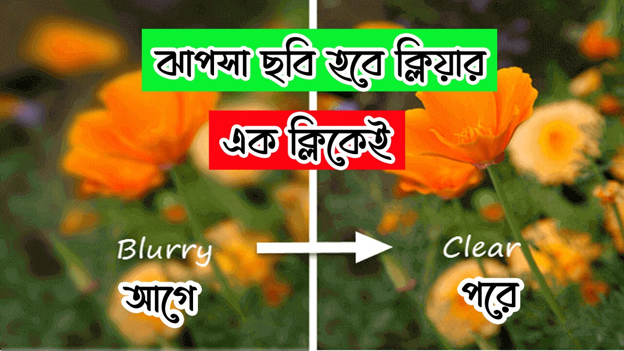 Blur Image to Clear Image App | ঝাপসা ছবি ক্লিয়ার করার উপায়