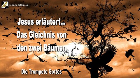 11.2004 🎺 Jesus erläutert das Gleichnis von den zwei Bäumen... Die Trompete Gottes