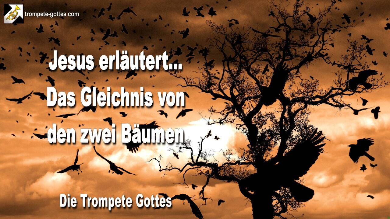 11.2004 🎺 Jesus erläutert das Gleichnis von den zwei Bäumen... Die Trompete Gottes