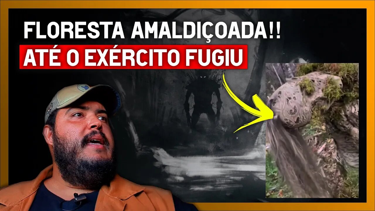 FLORESTA AMALDIÇOADA!! Até o exército fugiu (Assombração, Demônios, Espíritos, Ufo, OVNIs)