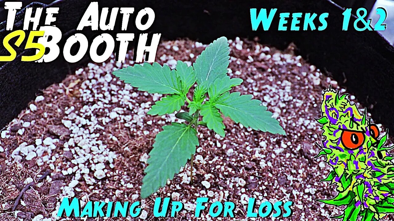 The Auto Booth S5 Ep. 2 | Weeks 1 & 2 | Making Up For Loss