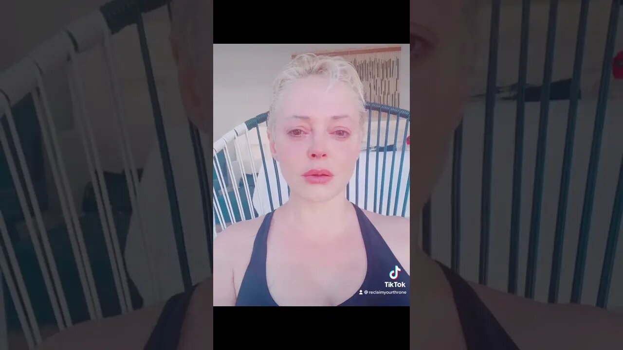 So let me get this straight 👑